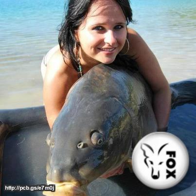 talent si frumusete - 6021781449900690071591472526094n.jpg